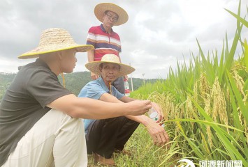 a(chn)I(y)O(sh)(zhn)|ua(chn)I(y)|(zh)Ч ˮT r(nng)I(y)|(zh)a(chn)ӿl(f)չ